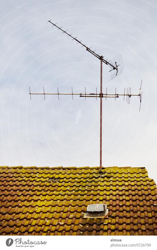 Television antenna on a mossy tiled roof with skylight Antenna on reception Tiled roof Roofing tile Skylight communication Electromagnetic waves Outdoor antenna