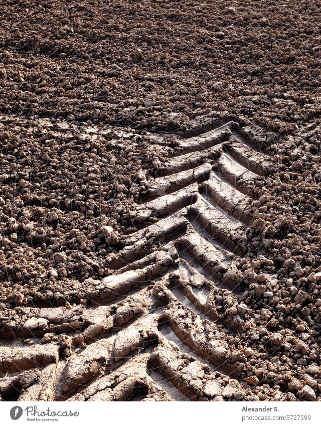 Tractor track in the field trace tyre track Tire tread Field acre Agriculture Earth Ground Imprint Abstract abstraction Arrow Tracks Structures and shapes Brown