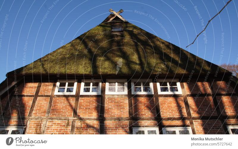 House with thatched roof House (Residential Structure) Building Architecture Window Facade Wall (barrier) Manmade structures Exterior shot Wall (building)