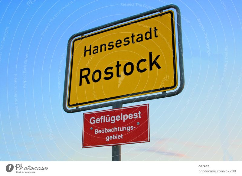 Mind The Traffic Signs! Bird 'flu Road sign Rostock Town sign Yellow Red Panic Signage Warning label Blue Sky Beautiful weather Hanseatic City Fear