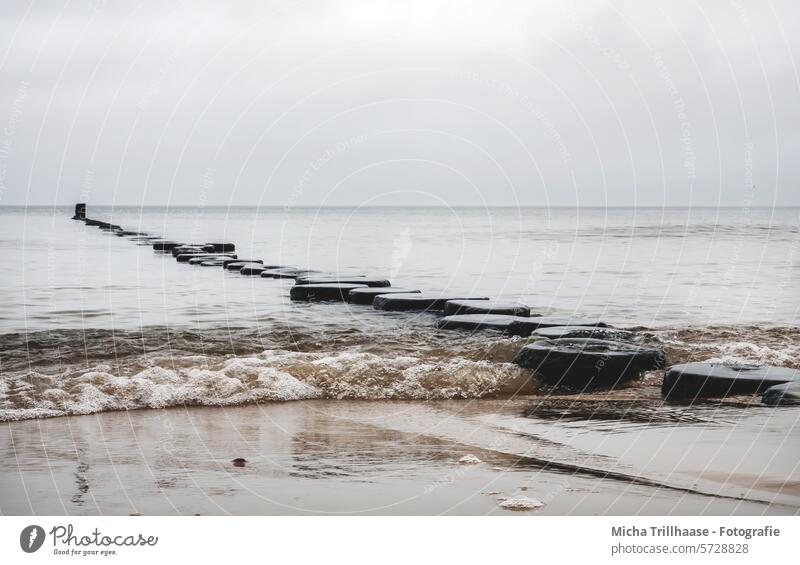 Buhnen at the Baltic Sea beach Island Usedom zempin Ocean groynes Water Waves Horizon Sky Clouds Landscape Nature Mecklenburg-Western Pomerania