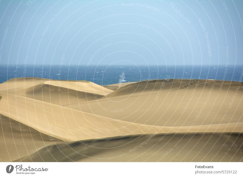 Sand dunes by the sea horizon Maspalomas dry sand endless nature water Gran Canaria background morning beach Spain golden morning light Europe dryness holidays