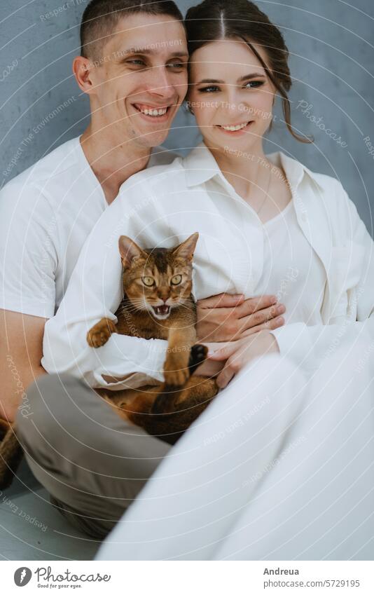 young couple guy and girl in a bright room playing with pets brick brown cat corner ears friend gray grey light man's friend nose pink smooth tail teeth three
