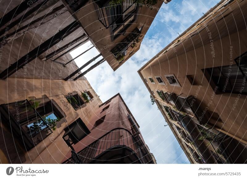 gorge of houses Worm's-eye view Interior courtyard Skyward Perspective Old Ambitious House (Residential Structure) Facade Backyard Real estate market Window