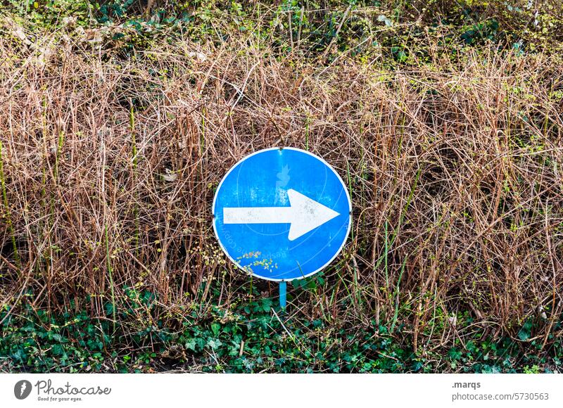 signpost Navigation Signage StVO Direction Transport Road traffic Road sign Orientation Signs and labeling Arrow Blue White undergrowth Road marking