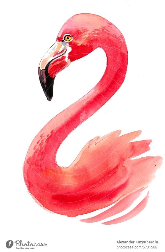 C Kern, Pink Flamingo Bird Portrait Batik Painting - Ruby Lane