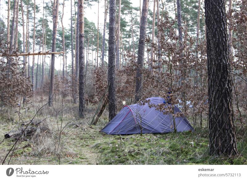 Tent in the forest - wild camping camp wild nature conservation Water Airlock Environmental protection Activism activity Hambach Forest Brandenburg Grünheide