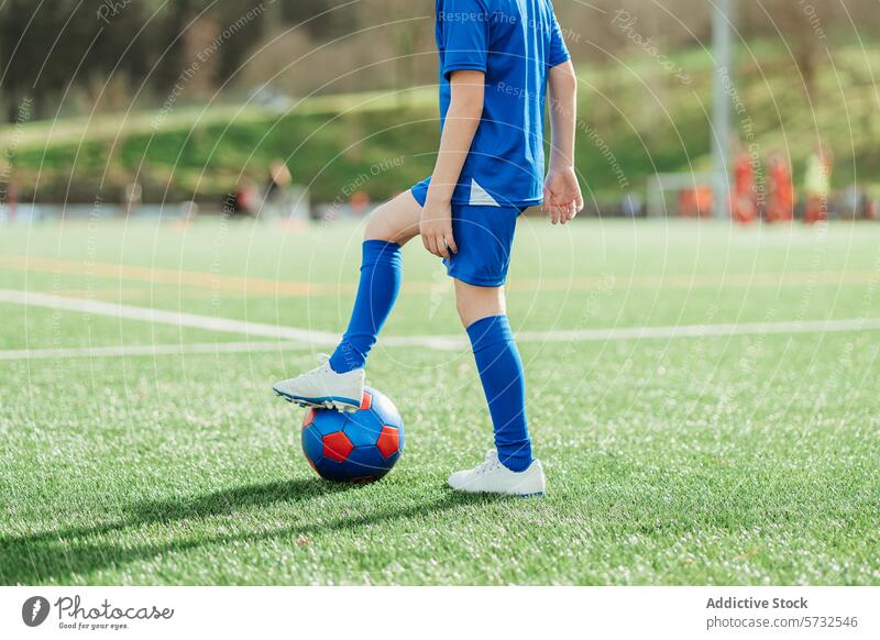 Young soccer player ready to kick the ball on field child sportswear blue foot green sunny day team blurred background game youth football grass leg outdoor