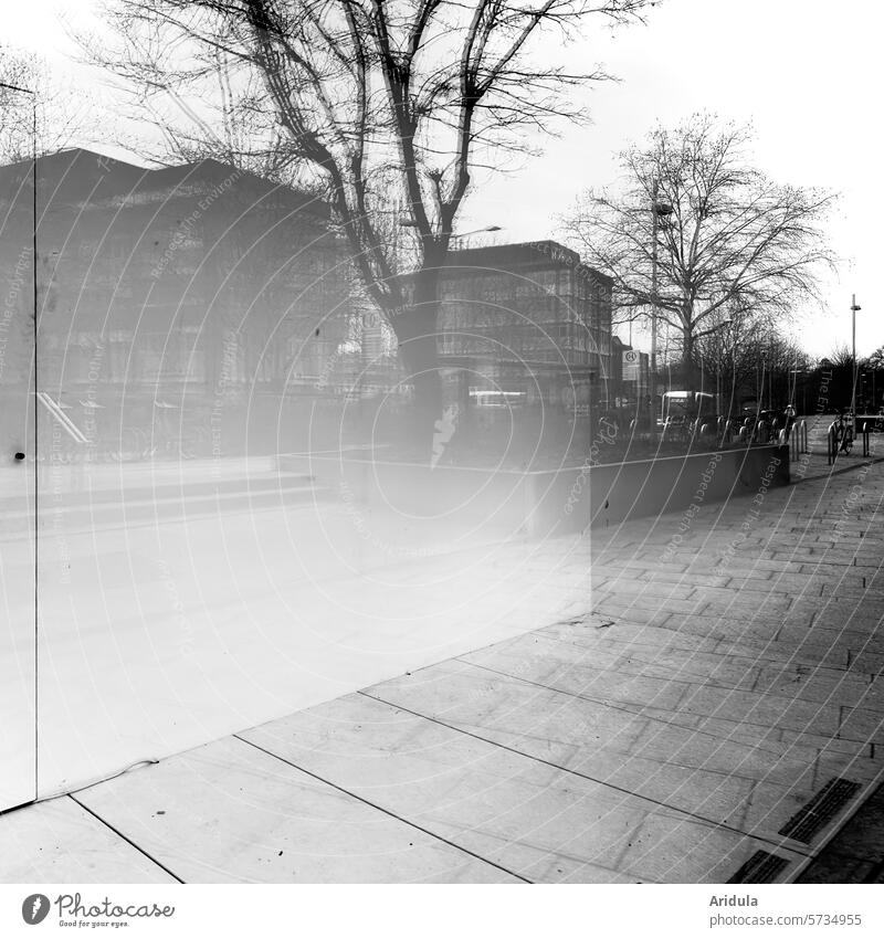Empty shop window with reflection b/w Shop window trees houses Town Winter branches off Glass Reflection Window Building Facade Architecture Slice Window pane