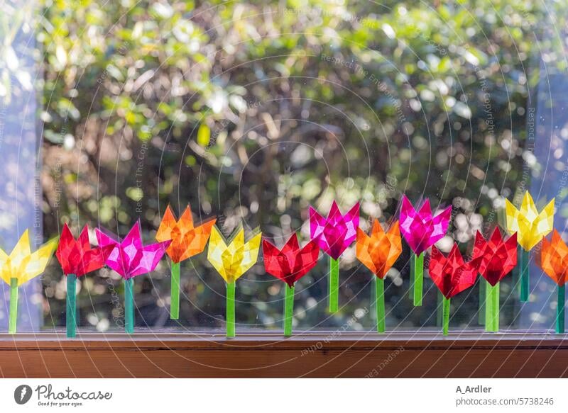 Folded colorful flowers made of transparent paper stick to the window Abstract Home-made traditionally Colour cut paper decorations handcrafted creatively DIY