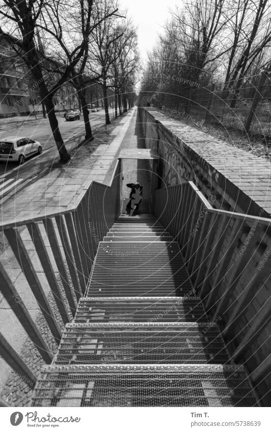 a steel staircase to the street Wedding b/w Street Stairs Black & white photo Day Exterior shot Architecture Berlin bnw Capital city Town Downtown