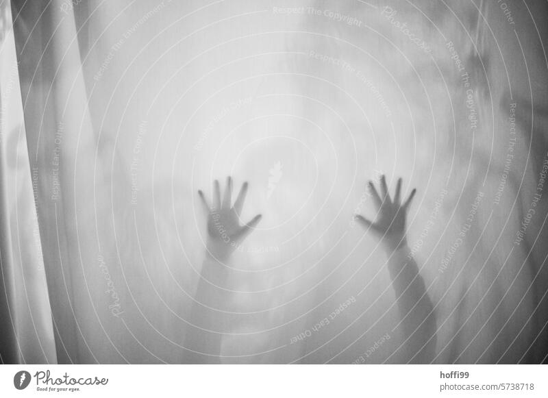two raised hands behind a curtain Hand stretched out arm outstretched hand Outstretched Fingers Arm Human being Light body part Gesture Palm of the hand