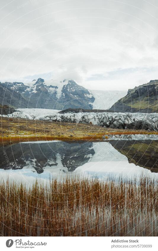 Serene Icelandic Glacier Reflection in Calm Water iceland glacier mountain reflection water calm serene landscape nature tranquil outdoors reed scenic beauty