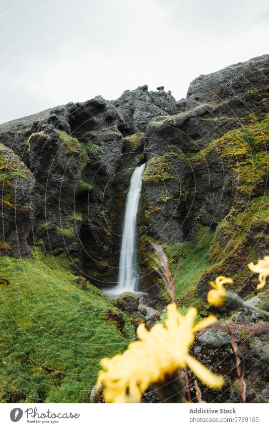 Serene Waterfall Amidst Lush Greenery in Iceland waterfall greenery iceland landscape nature moss rugged serene flow outdoor tranquil scenery beauty natural