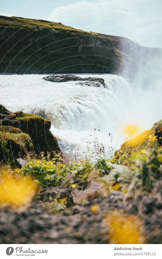 Majestic Waterfall Surrounded by Lush Vegetation in Iceland waterfall iceland flora vegetation gushing cliff blue sky nature landscape outdoors cascade flow