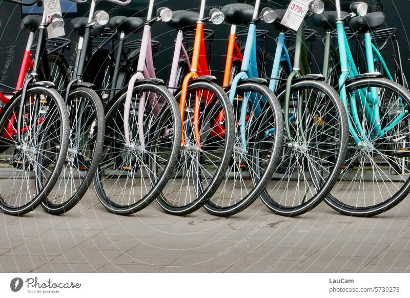 Today is World Bicycle Day bicycles Movement Mobility Cycling Means of transport Eco-friendly Athletic salubriously means of locomotion Sustainability Wheel