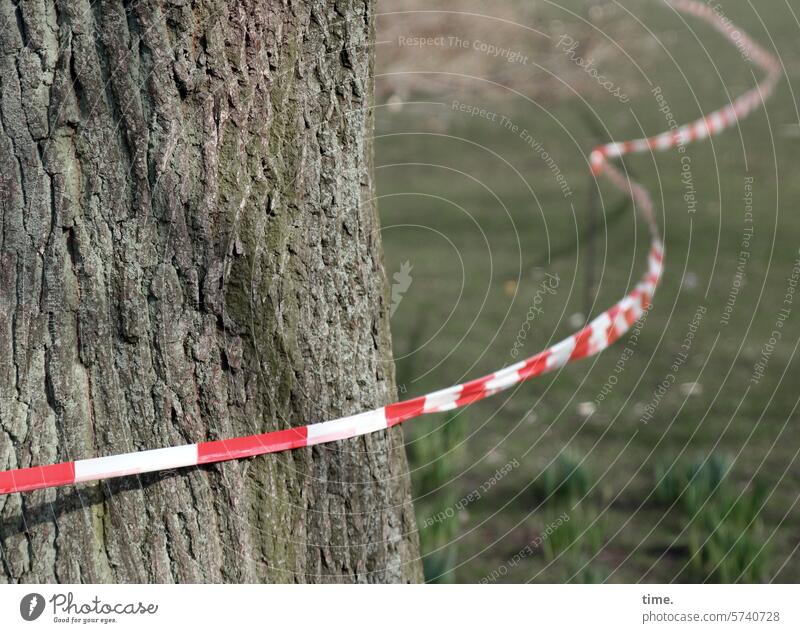 Stories from the fence .160 Fence Botany Border Barrier Protection Safety flutterband Tree trunk Meadow cordon Plastic White Red barrier tape prevention