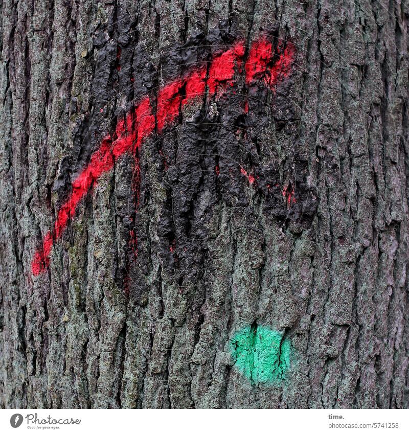 Tree & Message Red Green Nature Environment Tree trunk bark Oak tree Colour mark dash Point Patch Patch of colour Line Puzzle puzzling