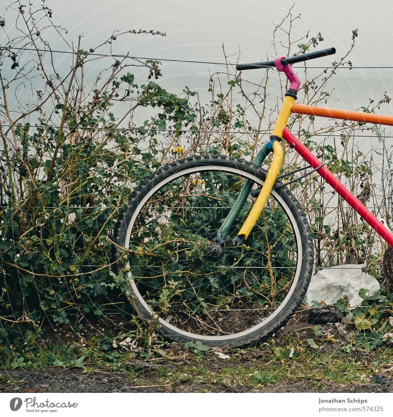 Portobello IX Nature Means of transport Cycling Multicoloured Esthetic Design Uniqueness Art Bicycle Old Retro Retro Colours Fence Barrier Hedge Bushes Green