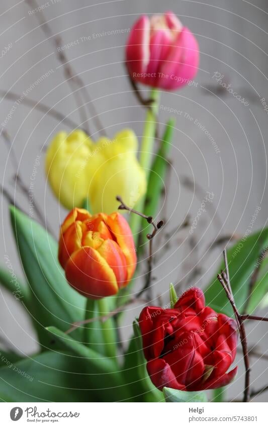 Tulips and branches Flower Blossom Spring spring flowers Bouquet twigs Decoration Joy Plant Blossoming Colour photo Interior shot Yellow Pink Red Green Orange