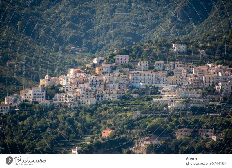 high up on the mountain Village Italy Campania Old Vacation & Travel Long shot slope Italian Mediterranean steep coast Rural Overview Steep Summer