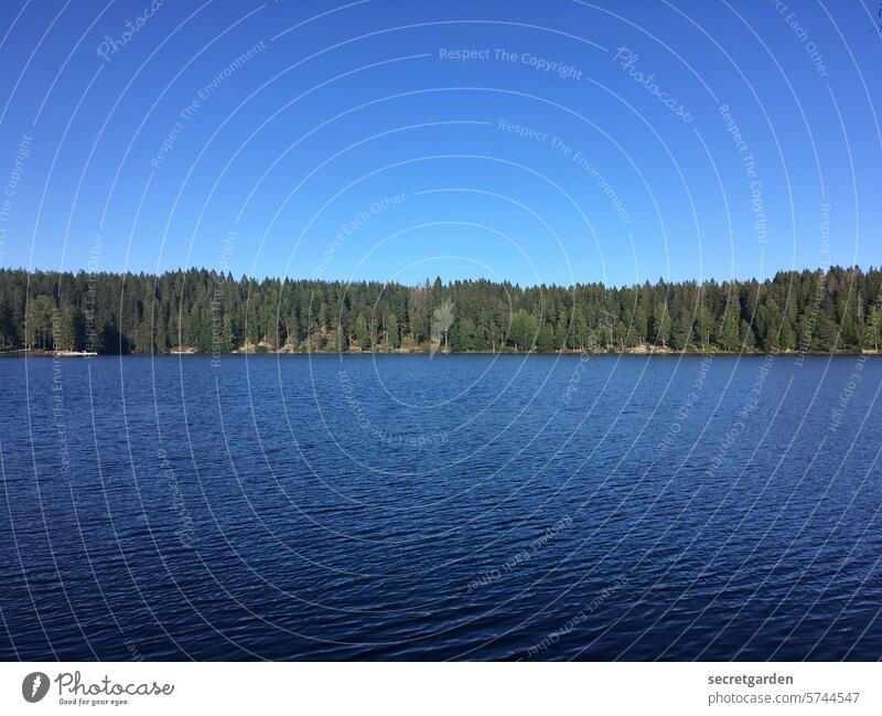 Horizontal cloudlessness overhead Forest Norway Scandinavia Lake Water Sky Across Deep Calm relax vacation forests Loneliness Deserted Nature Landscape