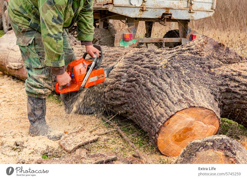 Woodcutter, logger, is cutting firewood, logs of wood, with motor chainsaw Blade Chain Chainsaw Chop Cut Deforestation Ecology Engine Felled Feller Firewood