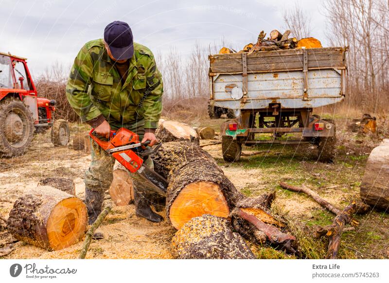Woodcutter, logger, is cutting firewood, logs of wood, with motor chainsaw Blade Chain Chainsaw Chop Cut Deforestation Ecology Engine Felled Feller Firewood