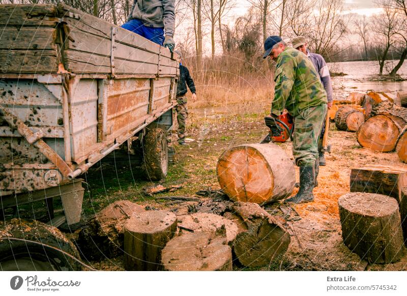 Woodcutter, logger, is cutting firewood, logs of wood, with motor chainsaw near the river Bank Bunch Chain Chainsaw Chop Coast Cross Section Cut Deforestation