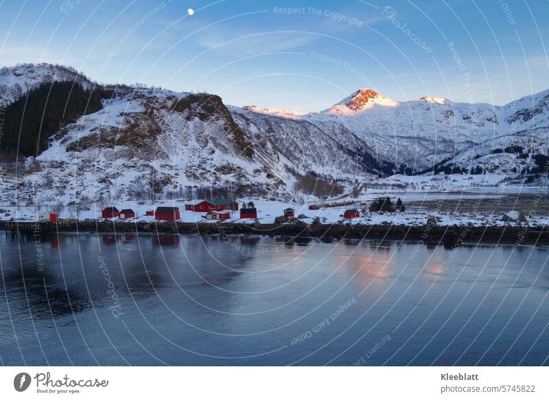 Norway love - red houses along the coast - winter idyll Winter sun typically Nordic Snow Ice ship Shipping traffic Water Strait Vacation & Travel Scandinavian