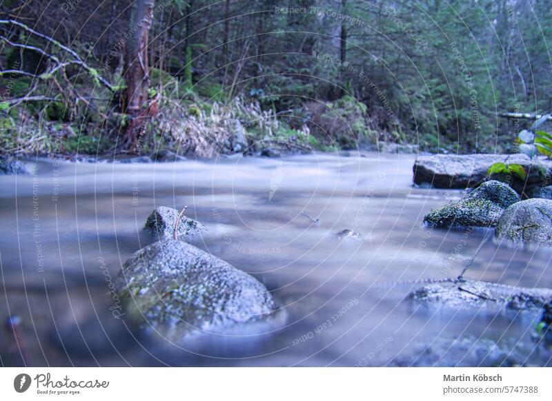 Long exposure shot of a river, stone in the foreground. Forest in the background leaf water fast wet hiker soothing stream valley spring refreshment trickle