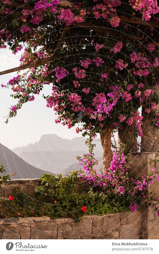 beautiful arch viewpoint with pink flowers and panoramic scenic view on mountains and village on the hills landscape, vertical tourism poster at Gran Canaria, Canary Islands, Spain