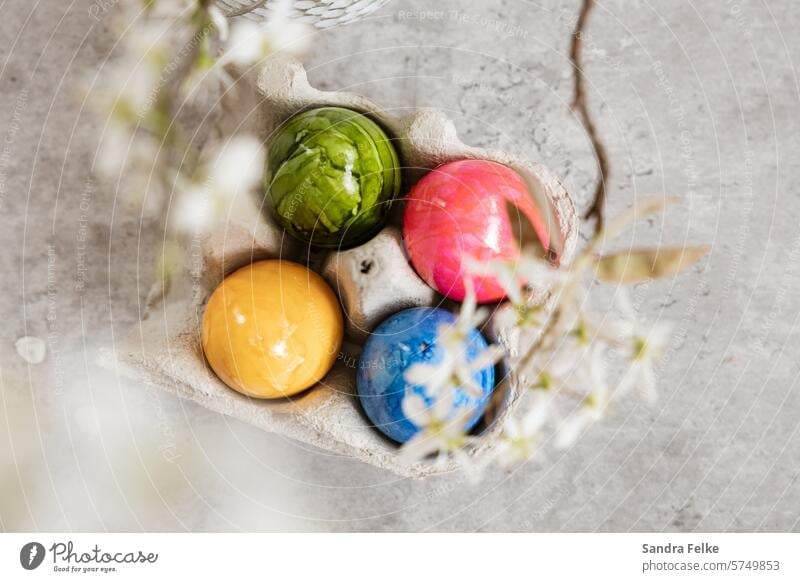 Flatlay with Easter eggs and spring flowers - gray background Tradition Spring Feasts & Celebrations Decoration Egg colorful eggs Food Eggshell Nutrition