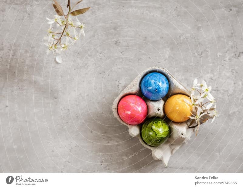 Flatlay with Easter eggs and spring flowers - gray background Tradition Spring Feasts & Celebrations Decoration Egg colorful eggs Food Eggshell Nutrition