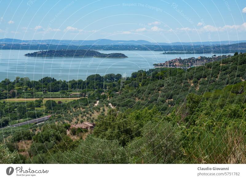 The Trasimeno lake at summer near Passignano Europe Italy July Perugia Umbria color day landscape nature olive photography sunny travel tree water