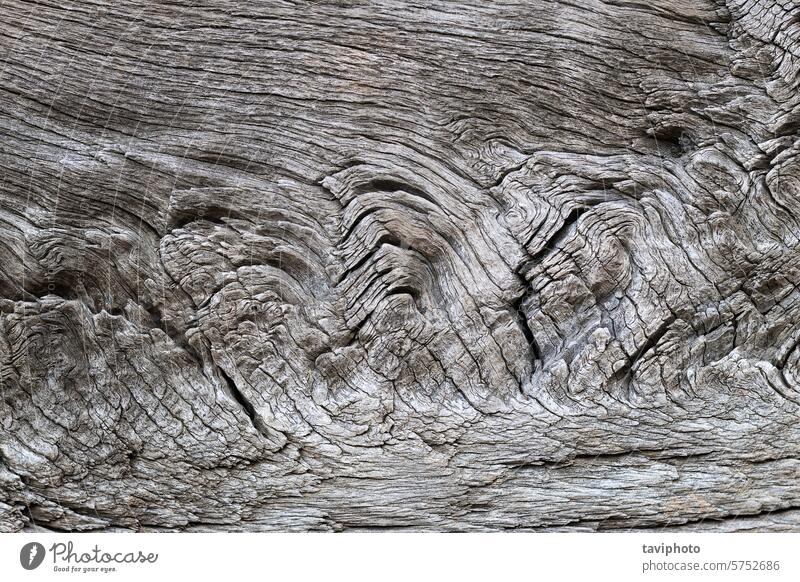 beautiful detailed oak plank texture abstract aged aging backdrop background board brown carpentry closeup condition construction crack cracked crackle cross