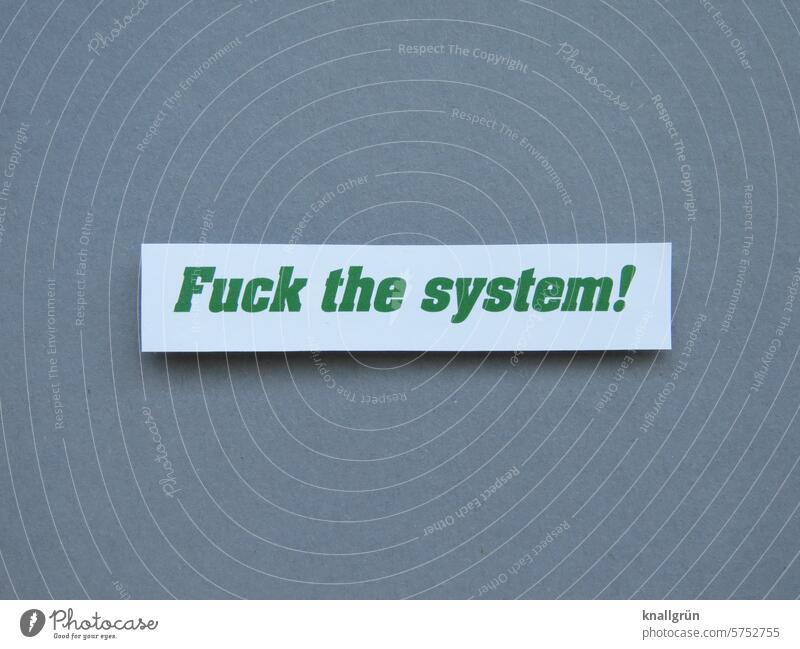 Fuck the System! dissatisfied Text Politics and state Society Protest Dissatisfaction Inequity Characters Expectation Emotions Typography Anger