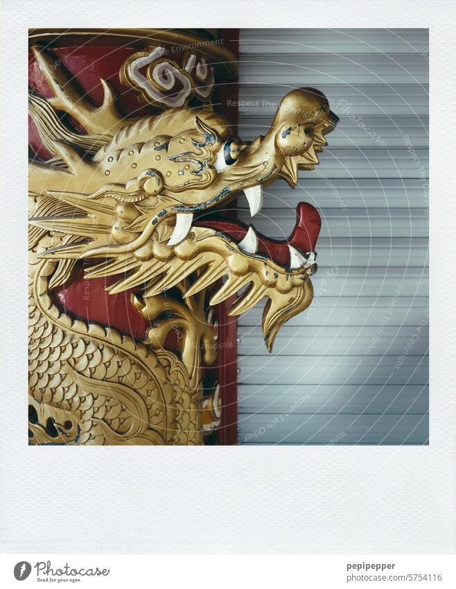 golden dragon Dragon kites China Chinatown Chinese restaurant Colour photo Asia Exterior shot Dragon face Face Tongue Evil Teeth Show your teeth