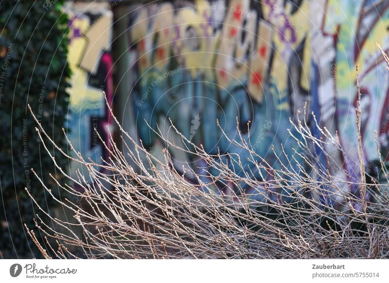 Branches in front of a painted wall in the city twigs Bleak structure Wall (building) Graffiti Town Contrast variegated Movement Dynamic Twigs and branches