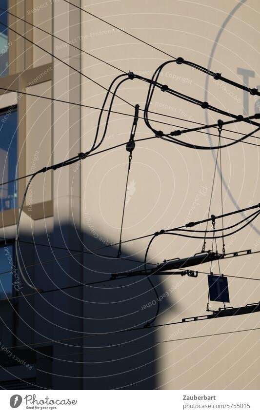 Overhead streetcar line in front of a house wall as a filigree structure Overhead line Tram Delicate Wall (building) Silhouette Shadow Transport Public transit