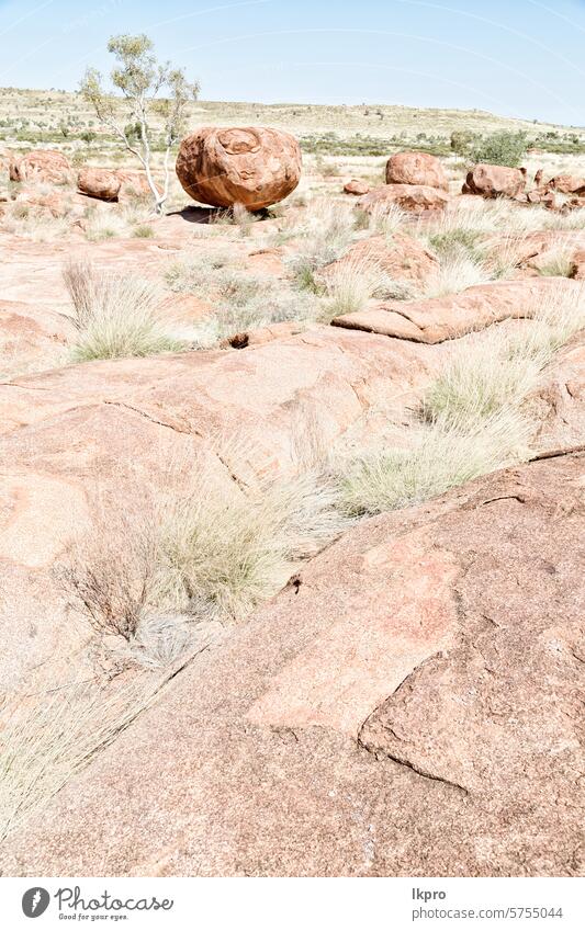 in australia the rocks  of devil  marble marbles devils outback desert landscape karlu stone granite nature boulder conservation sky bush red tree australian