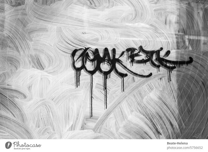 I don't know what that means ... Characters Illegible incomprehensible Window Shop window Letters (alphabet) Typography Structures and forms havoc vertebra Daub