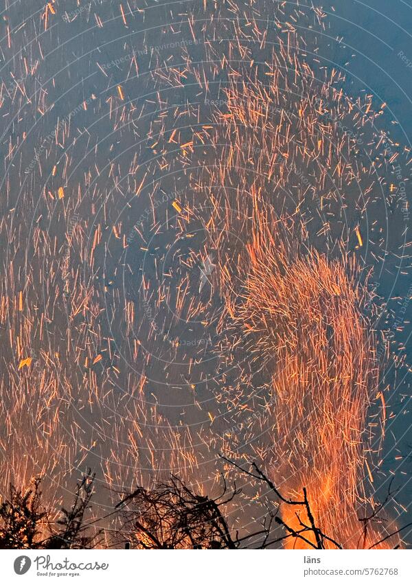 Easter fire Fire Deserted Burn Spark flying sparks Blaze Fireplace Exterior shot Branches and twigs Orange Hot Warmth ardor