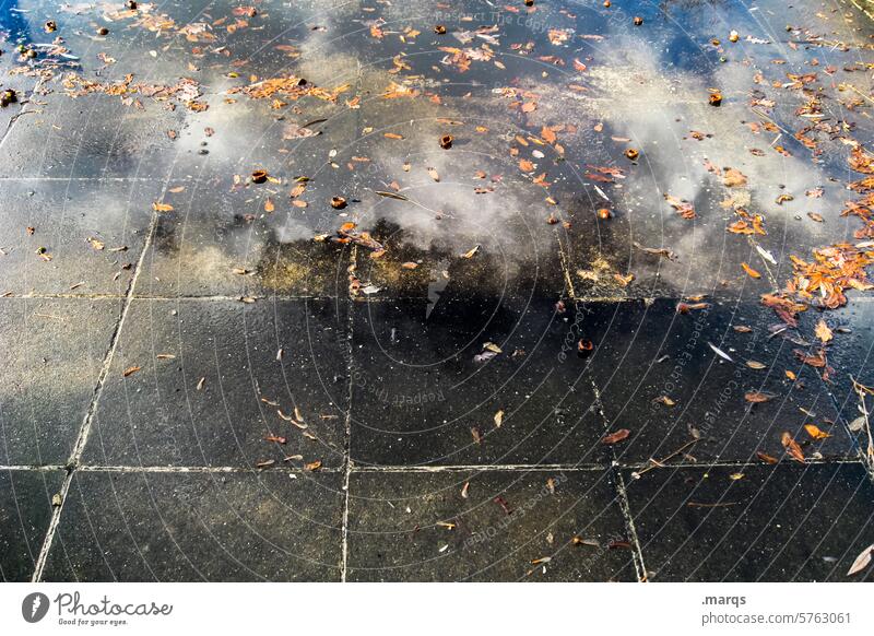 unsettled Ground Stone slab Reflection Wet Damp Water Leaf Autumn Clouds Cold Environment Climate change Weather Change in the weather