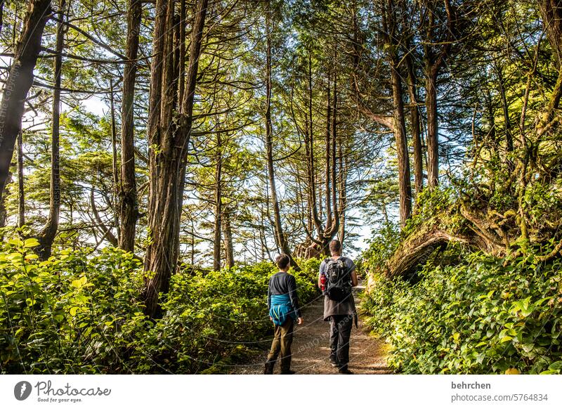 vancouver island Together in common Father and son Far-off places Wanderlust Vacation & Travel Trip Tree trunk gnarled Boy (child) Infancy Son Child