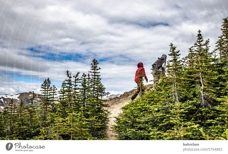 *4 8 0 0* gipfelstürmer...one more little piece... especially Landscape North America Alberta Jasper national park Canada Fantastic Sky Mountain Far-off places