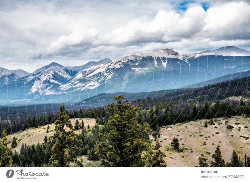 summiteers especially Landscape North America Alberta Jasper national park Canada Fantastic Sky Mountain Far-off places Wanderlust Rocky Mountains Glacier