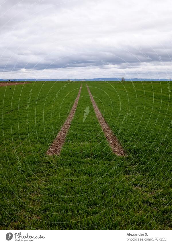 Vehicle tracks in the field under a cloudy sky Field acre Agriculture Tracks lanes Sky Clouds Landscape Grain field Green