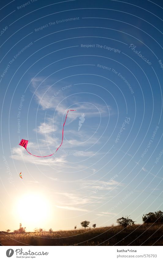 Beautiful Autumn. Hang gliding Kite Sunrise Sunset Beautiful weather Infinity Blue Gold Pink Adventure Experience Vacation & Travel Leisure and hobbies Joy