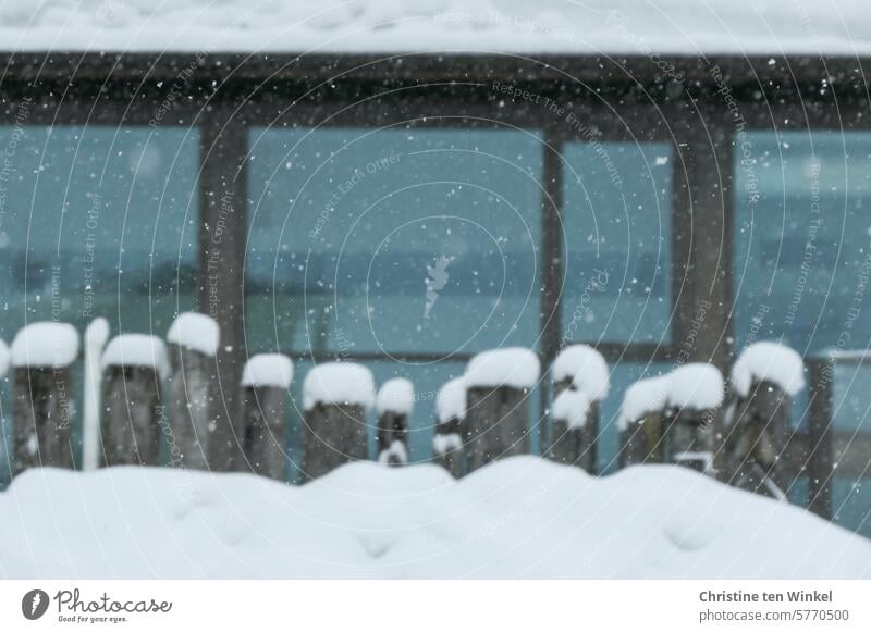 patchy| weathered wooden planks stuck in the snow Winter blow snow Wood planks Garden fence Snow snowy snowed over snowflakes Window Glazed facade Cold Freeze